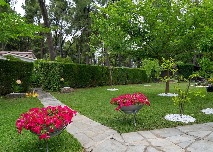 Sani Elite In Halkidiki