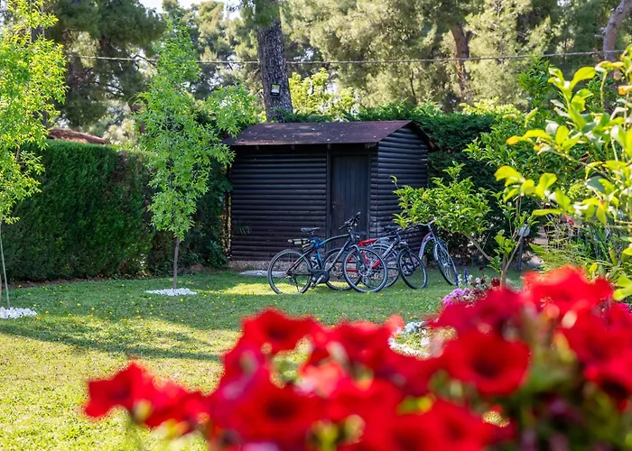 Sani Elite In Halkidiki Sani (Chalkidiki)