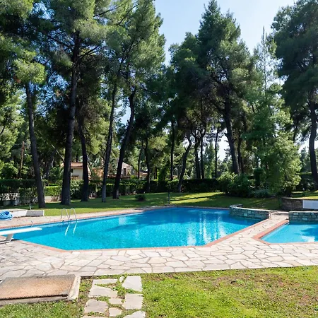 Sani Elite In Halkidiki *