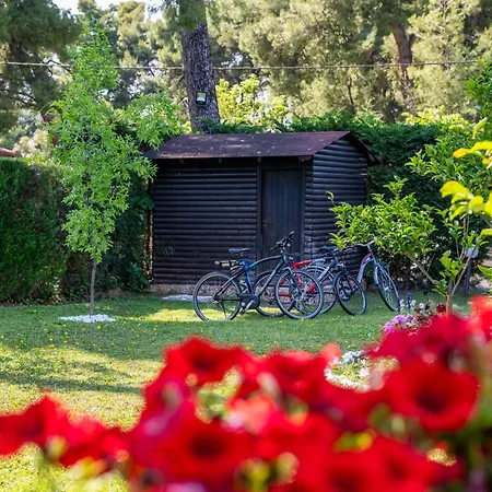 Sani Elite In Halkidiki Παραλία Σάνη