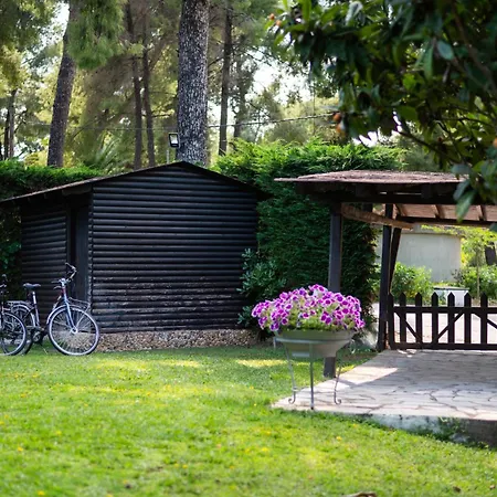 Βίλα Sani Elite In Halkidiki Παραλία Σάνη