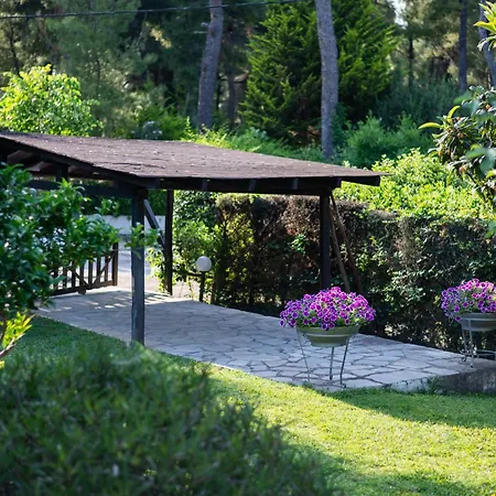 Sani Elite In Halkidiki