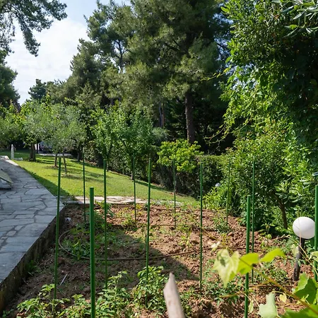 Sani Elite In Halkidiki Villa