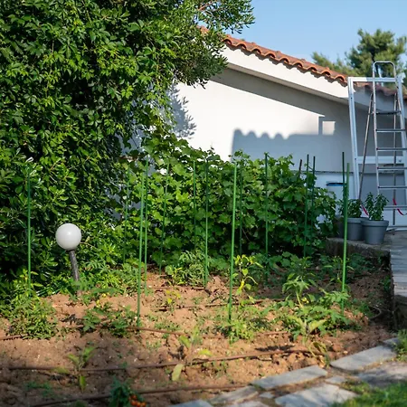 Sani Elite In Halkidiki * Παραλία Σάνη