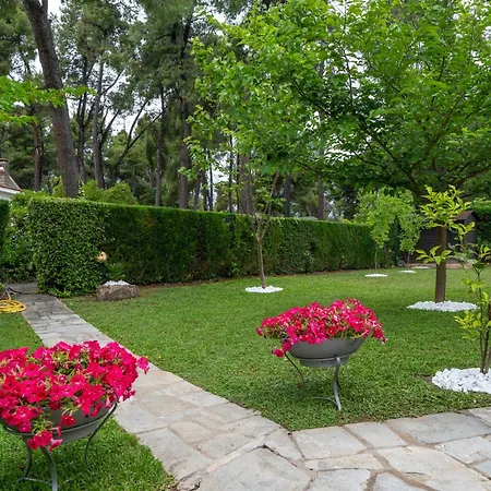 Sani Elite In Halkidiki