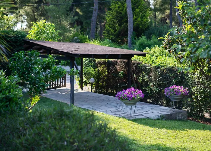 Sani Elite In Halkidiki